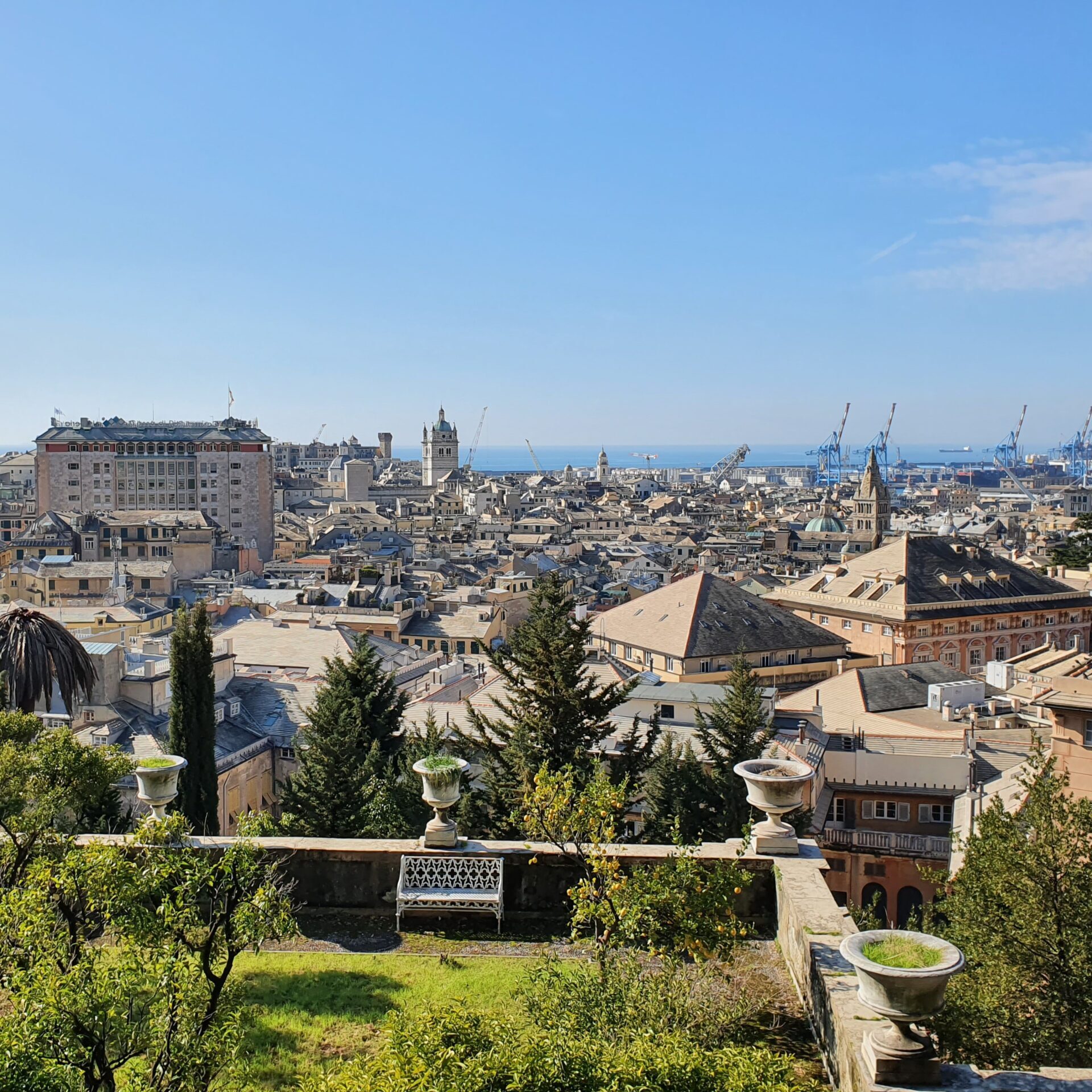 genova-6029815 genova-6029815